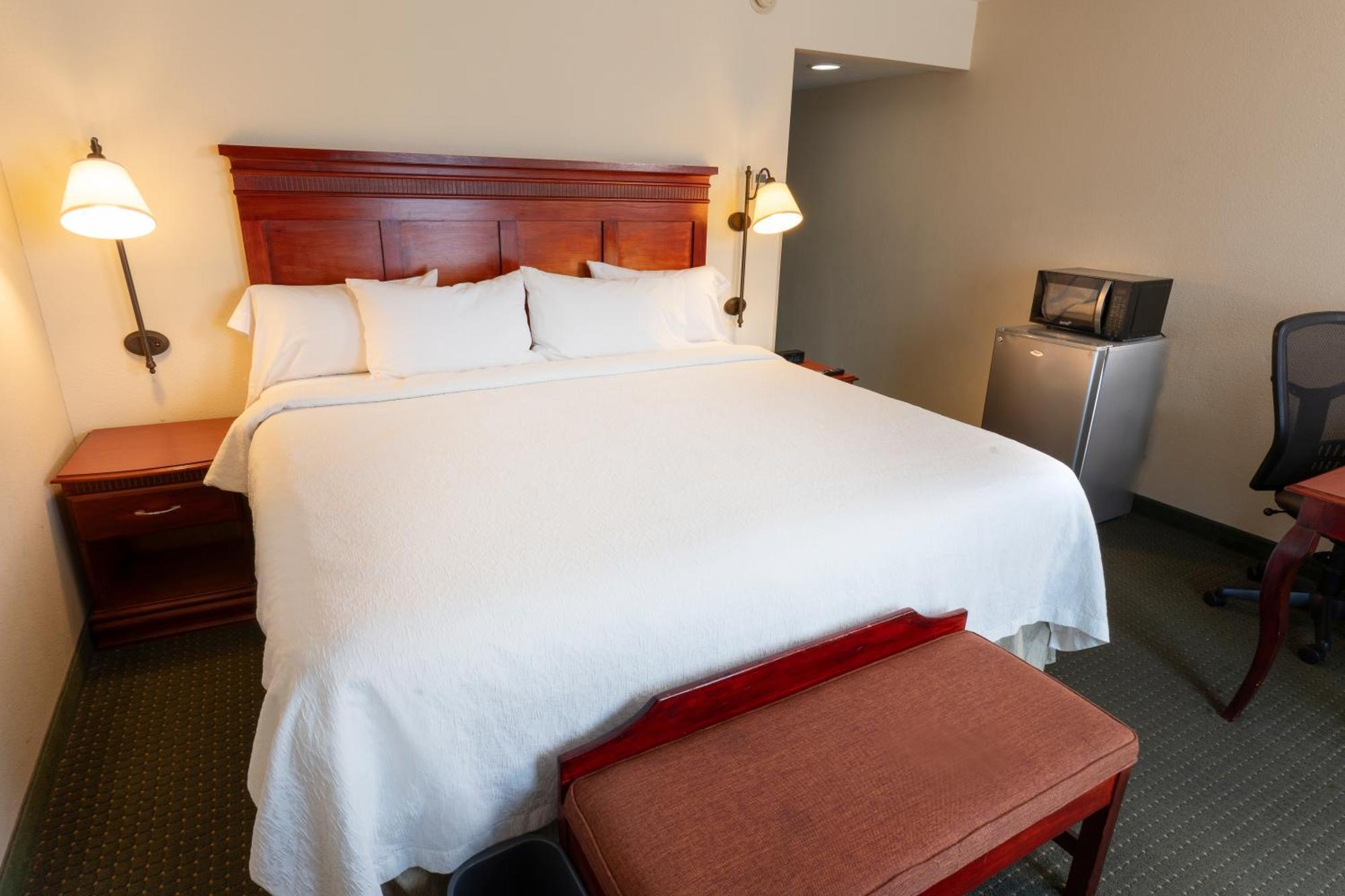 Hampton Inn by Hilton Guadalajara-Aeropuerto Las Pintas Bagian luar foto
